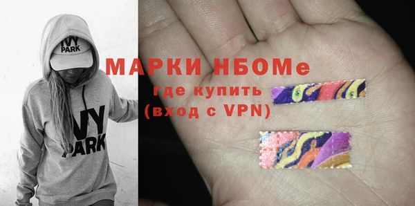 шишки Арсеньев