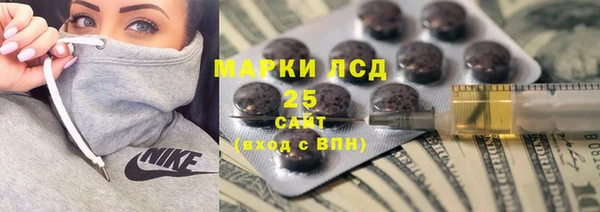 шишки Арсеньев