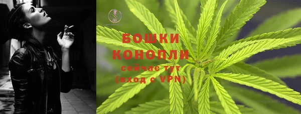 шишки Арсеньев