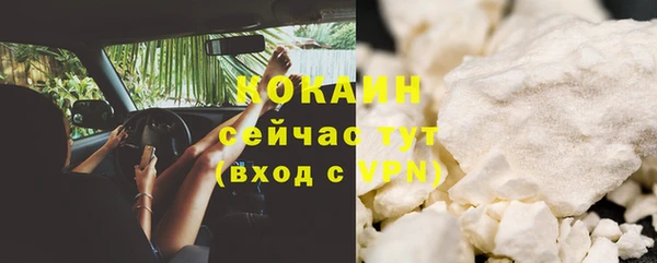 шишки Арсеньев