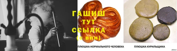 шишки Арсеньев