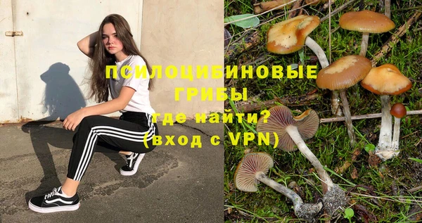 шишки Арсеньев