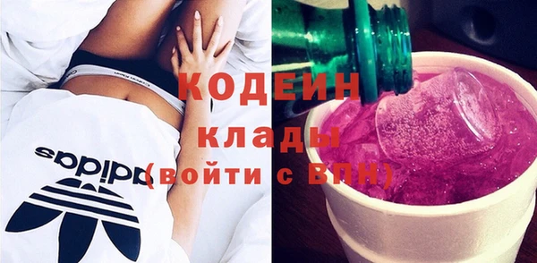 шишки Арсеньев