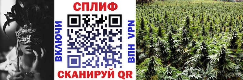 Конопля THC 21% мориарти клад Бодайбо